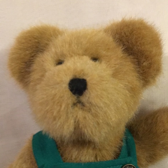 C.J. Cherrybeary Boyd’s Bear (AB) - Picture 3 of 4